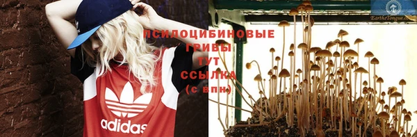 хмурый Балахна