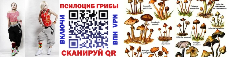 Галлюциногенные грибы Psilocybe  Вольск 